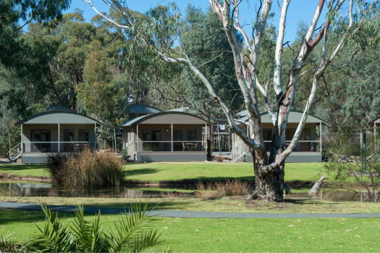 Tasman Holiday Parks - Moama On The Murray Exterior foto